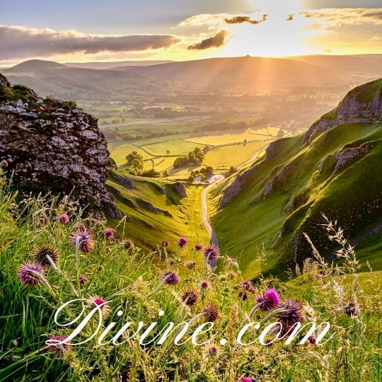 Divine.com above a sunset with mountains